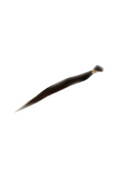 Włosy słowiańskie na taśmach standard, brązowe, 37cm, 32 gramy.