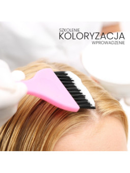 Szkolenie fryzjerskie - wprowadzenie do koloryzacji