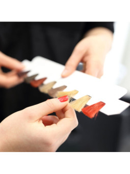 Szkolenie fryzjerskie - Ramowy program koloryzacji I i II stopnia